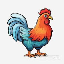 Chicken