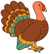 Turkey