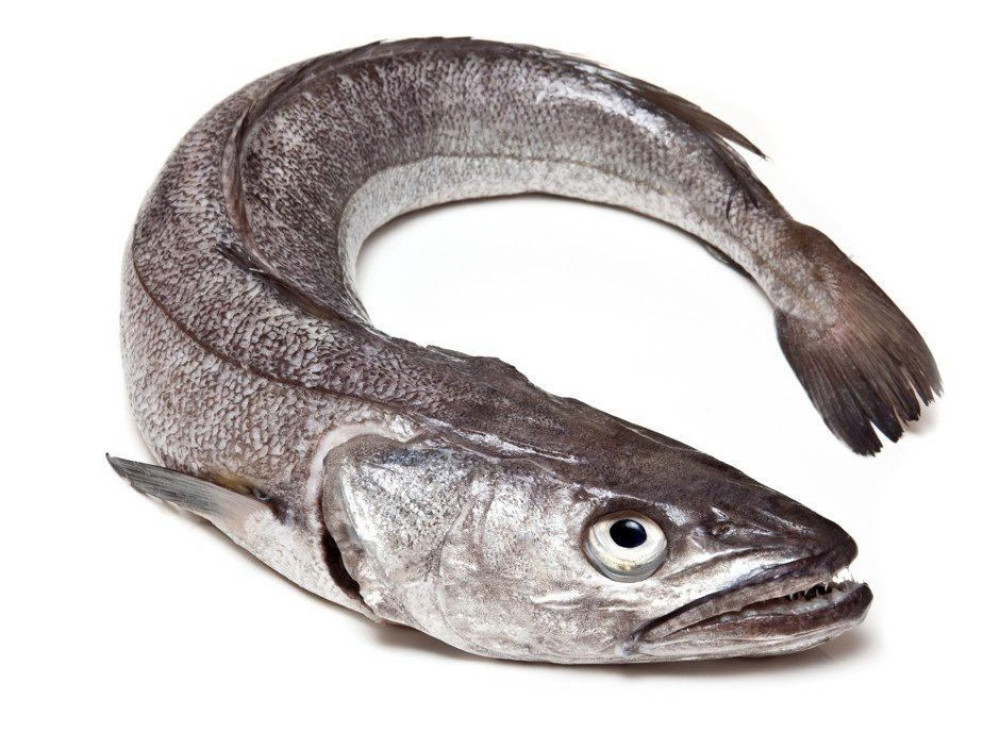Hake 1kg